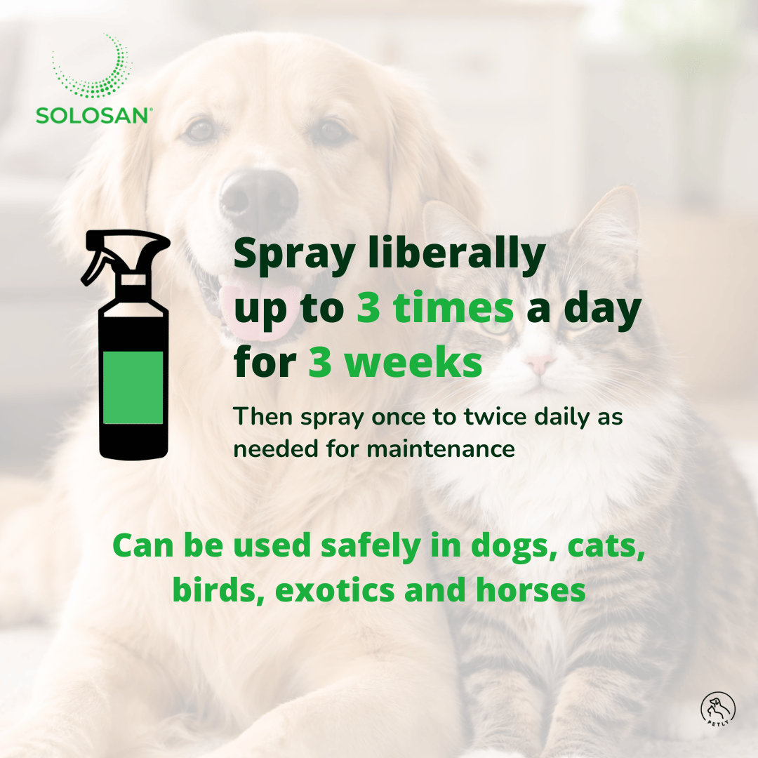 Solosan Antiseptic Pet Spray