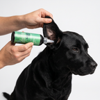 Applying Solosan ear drops onto pet dog ear for routine cleansing