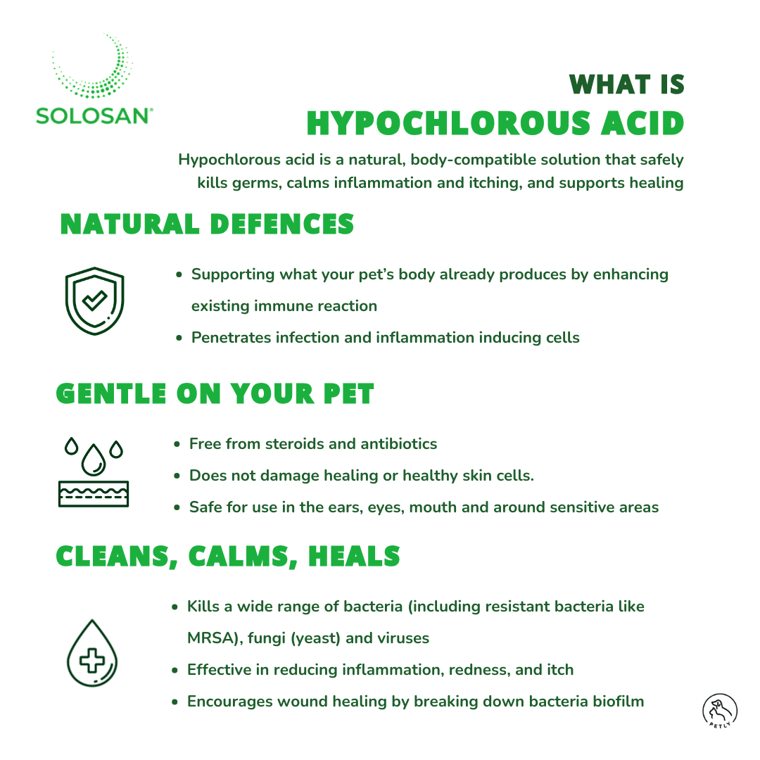 Solosan Antiseptic Eye Drops